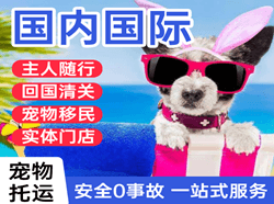 临沂启阳航空运输国际宠物托运 【国